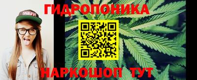 мдпв Обь