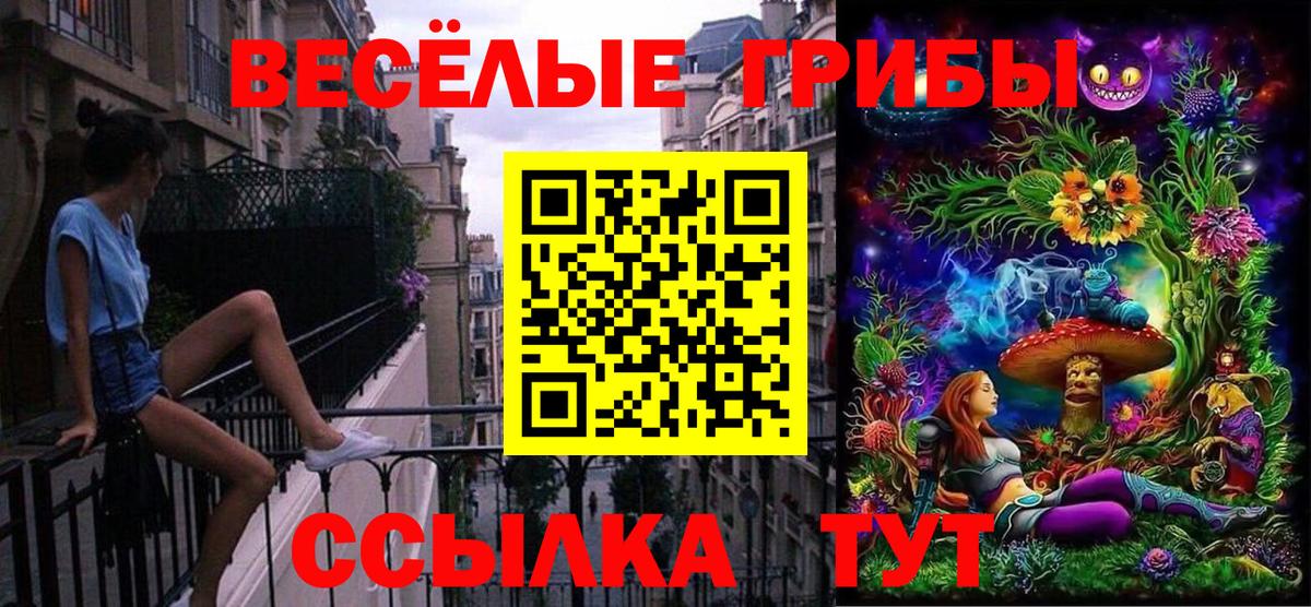 Татарск  где найти   Псилоцибиновые грибы мицелий  Вход с VPN  Псилоцибиновые грибы Cubensis 